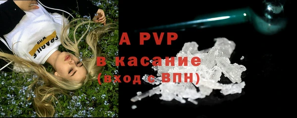 дмт Краснослободск