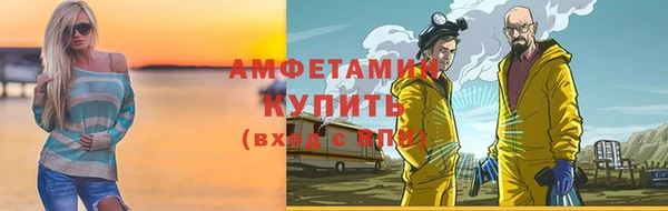 дмт Краснослободск