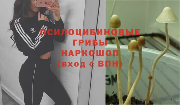 мдпв Краснотурьинск