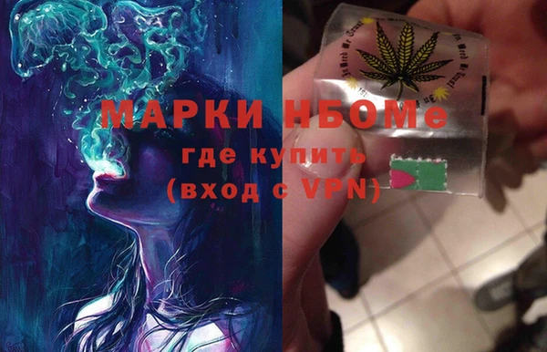 дмт Краснослободск